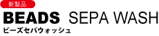 bs_logo.gif